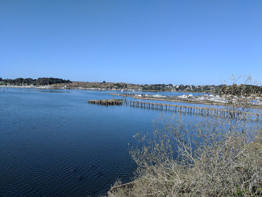 Diekmann`s Bay Store